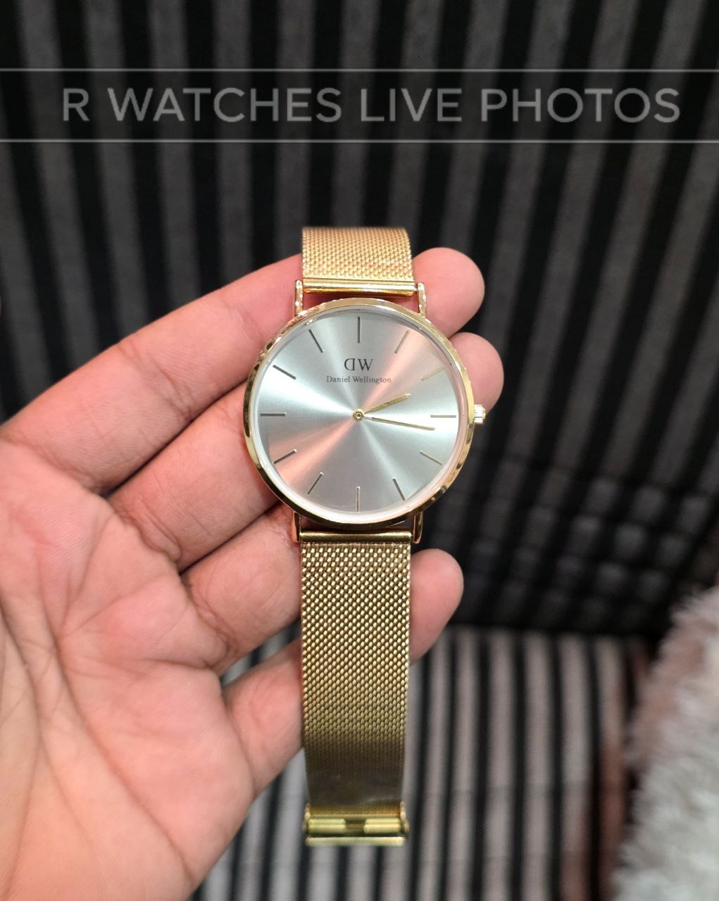 (SS)🖤⭐ DW Gold Grey Dial (DWP7)